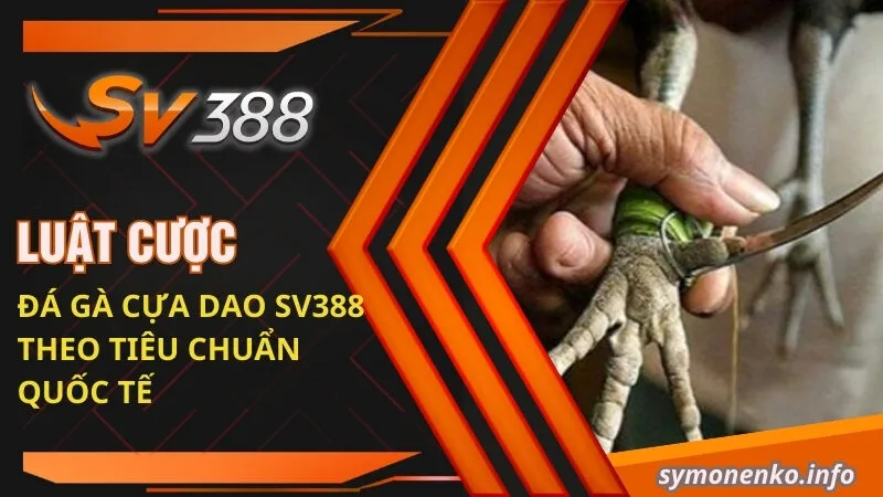 Đá Gà Cựa Dao: Luật Chơi Và Mẹo Cược Đá Gà Cực Chuẩn 3 Luật cược đá gà cựa dao SV388 theo tiêu chuẩn quốc tế