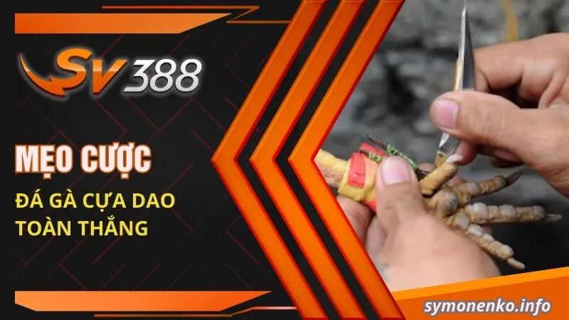 Đá Gà Cựa Dao: Luật Chơi Và Mẹo Cược Đá Gà Cực Chuẩn 4 Mẹo cược đá gà cựa dao toàn thắng