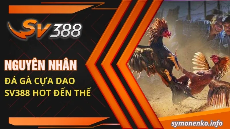 Đá Gà Cựa Dao: Luật Chơi Và Mẹo Cược Đá Gà Cực Chuẩn 2 Nguyên nhân đá gà cựa dao Sv388 HOT đến thế