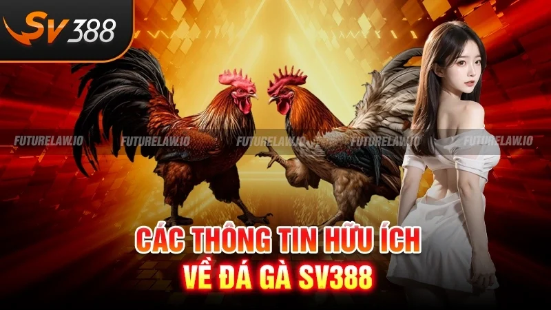 Trang chủ 33 Các thông tin hữu ích về đá gà SV388