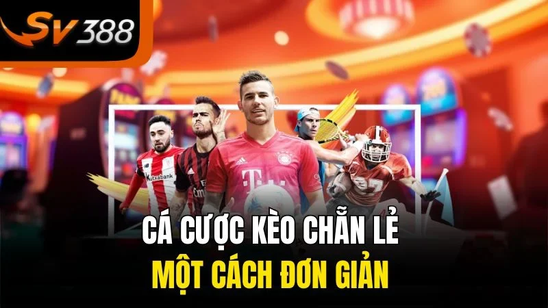Kèo Chẵn Lẻ - Dễ Chơi, Dễ Trúng Cho Người Mới 1 Cá cược kèo chẵn lẻ một cách đơn giản
