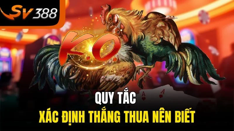 Đá Gà Cựa Dao - Trò Chơi Đỉnh Cao Cho Những Tay Chơi Thực Thụ 3 Quy tắc xác định thắng thua nên biết